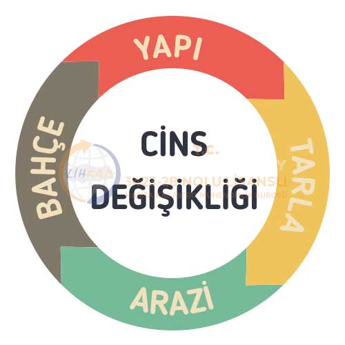 Cins Değişikliği